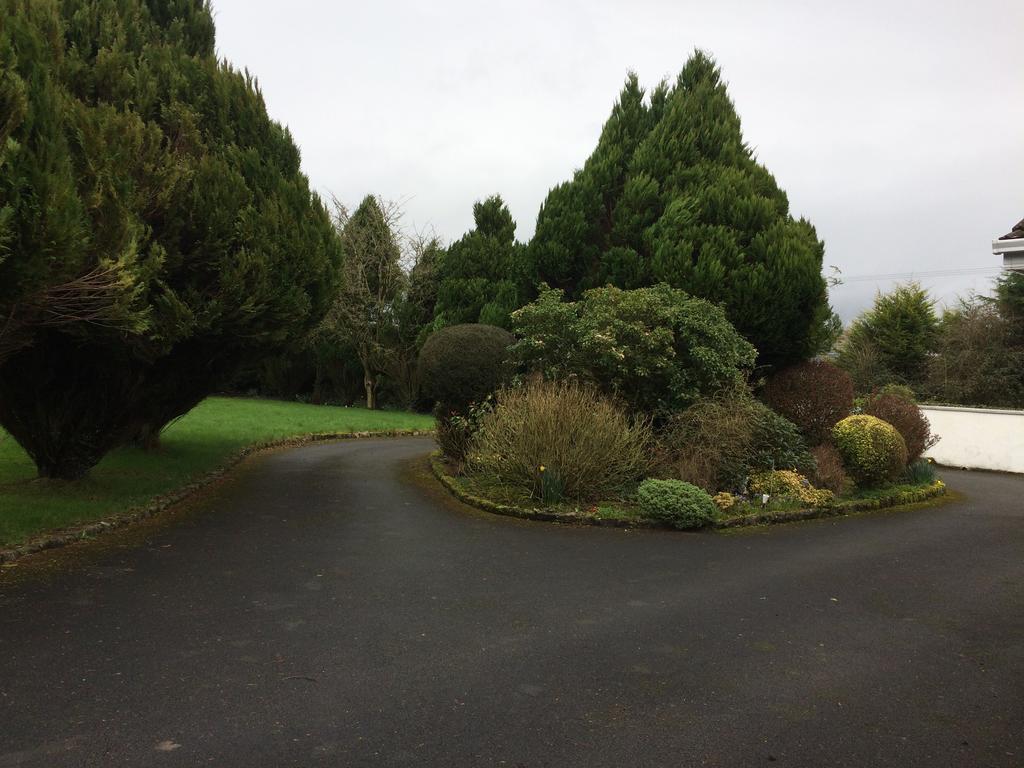 Palm Grove B&B Cashel (Tipperary) Dış mekan fotoğraf