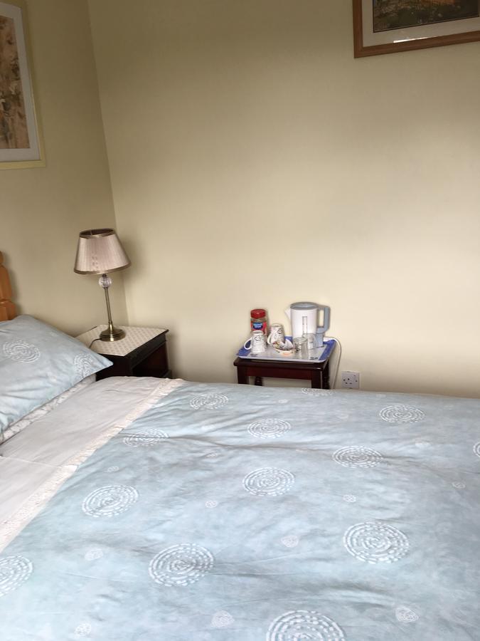 Palm Grove B&B Cashel (Tipperary) Dış mekan fotoğraf