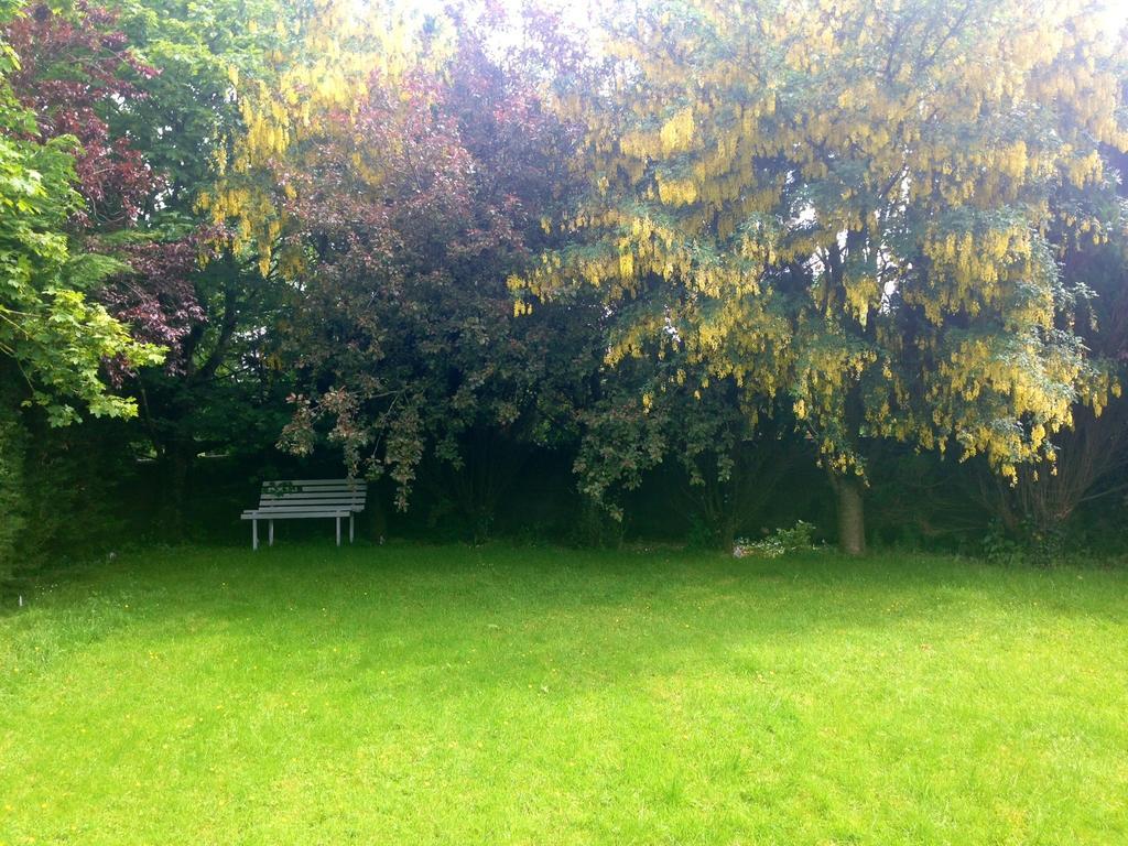 Palm Grove B&B Cashel (Tipperary) Oda fotoğraf